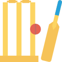 cricket